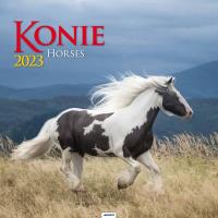Kalendarz 2023 Ścienny Konie AVANTI. Wydawca: AVANTI. Dobreksiazki.pl Opakowanie Kalendarz 2023 Ścienny Konie AVANTI