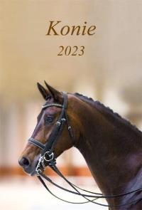 Kalendarz 2023 Ścienny wieloplanszowy Konie. Wydawca: Radwan. Dobreksiazki.pl Opakowanie Kalendarz 2023 Ścienny wieloplanszowy Konie