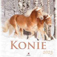 Kalendarz 2023 Wieloplanszowy Konie ARTSEZON. Wydawca: Artsezon. Dobreksiazki.pl Opakowanie Kalendarz 2023 Wieloplanszowy Konie ARTSEZON