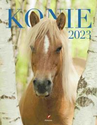 Kalendarz 2023 Wieloplanszowy Konie ARTSEZON. Wydawca: Artsezon. Dobreksiazki.pl Opakowanie Kalendarz 2023 Wieloplanszowy Konie ARTSEZON