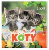 Kalendarz 2023 Wieloplanszowy Koty ARTSEZON. Wydawca: Artsezon. Dobreksiazki.pl Opakowanie Kalendarz 2023 Wieloplanszowy Koty ARTSEZON