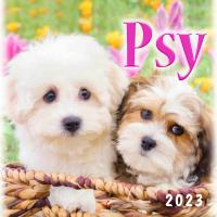 Kalendarz 2023 Wieloplanszowy Psy ARTSEZON. Wydawca: Artsezon. Dobreksiazki.pl Opakowanie Kalendarz 2023 Wieloplanszowy Psy ARTSEZON