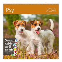Kalendarz 2024 30x30 Psy HELMA. Wydawca: Helma. Dobreksiazki.pl Opakowanie Kalendarz 2024 30x30 Psy HELMA