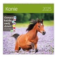 Kalendarz 2025 30x30 Konie. Wydawca: Helma 365. Dobreksiazki.pl Opakowanie Kalendarz 2025 30x30 Konie