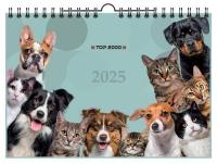 Kalendarz 2025 ścienny A4 Animals TOP2000. Wydawca: Top 2000. Dobreksiazki.pl Opakowanie Kalendarz 2025 ścienny A4 Animals TOP2000