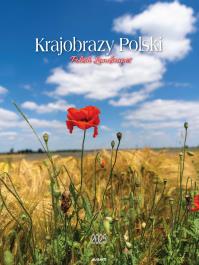 Kalendarz 2025 ścienny Krajobrazy Polski. Wydawca: AVANTI. Dobreksiazki.pl Opakowanie Kalendarz 2025 ścienny Krajobrazy Polski