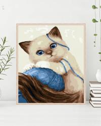 Malowanie po numerach 30x40cm Kotek i kłębek nici. Wydawca: Twoje Hobby. Dobreksiazki.pl Opakowanie Malowanie po numerach 30x40cm Kotek i kłębek nici