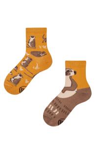 Zdjęcie produktu Many Mornings Skarpetki dziecięce The Meerkat 31/34