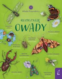 Młodzi przyrodnicy Rozpoznaję owady. Autor: Patrycja Zarawska. Dobreksiazki.pl Okładka książki Młodzi przyrodnicy Rozpoznaję owady