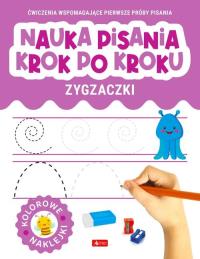 Nauka pisania krok po kroku. Zygzaczki. Autor: Praca zbiorowa. Dobreksiazki.pl Okładka książki Nauka pisania krok po kroku. Zygzaczki