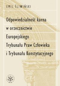 Okładka książki Odpowiedzialność karna w orzecznictwie Europejskiego Trybunału Praw Człowieka i Trybunału Konstytucy
