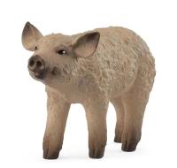 Opakowanie Prosię Mangalica