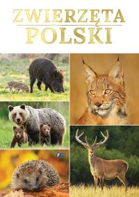 Zwierzęta Polski - uszkodzone. Autor: Praca zbiorowa. Dobreksiazki.pl Okładka książki Zwierzęta Polski - uszkodzone