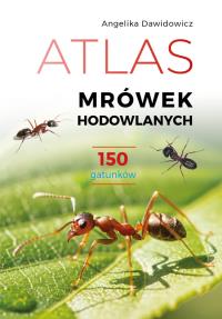 Okładka książki Atlas mrówek hodowlanych. 150 gatunków