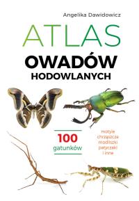 Atlas owadów hodowlanych. 100 gatunków. Autor: Angelika Dawidowicz. Dobreksiazki.pl Okładka książki Atlas owadów hodowlanych. 100 gatunków