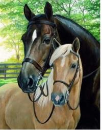 Opakowanie Diamentowa Mozaika Konie dwa zdjęcie NO-1006540