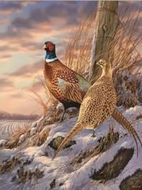 Opakowanie Diamentowa Mozaika Ptaki bażanty zimą NO-2001374