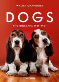 Dogs. Photographs 1941–1991. Autor: Chandoha Walter. Dobreksiazki.pl Okładka książki Dogs. Photographs 1941–1991