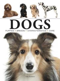 Dogs wer. angielska. Autor: Jackson Tom. Dobreksiazki.pl Okładka książki Dogs wer. angielska