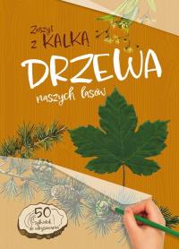 Drzewa naszych lasów. Zeszyt z kalką. Autor: Andżelika Bielańska. Dobreksiazki.pl Okładka książki Drzewa naszych lasów. Zeszyt z kalką