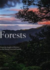 Forests. Autor: Kieron Connolly. Dobreksiazki.pl Okładka książki Forests