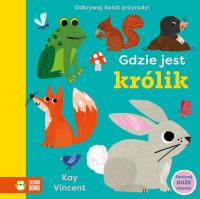 Gdzie jest królik. Autor: Kay Vincent. Dobreksiazki.pl Okładka książki Gdzie jest królik