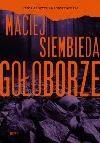 Gołoborze. Autor: Siembieda Maciej. Dobreksiazki.pl Okładka książki Gołoborze