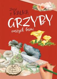 Grzyby naszych lasów. Zeszyt z kalką. Autor: Katarzyna Kopiec-Sekieta. Dobreksiazki.pl Okładka książki Grzyby naszych lasów. Zeszyt z kalką