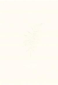 Okładka książki Kalcyt