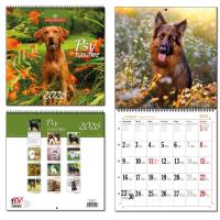 Opakowanie Kalendarz 2026 30x60 13 planszowy Psy Rasowe