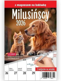 Kalendarz 2026 A5 miesięczny na lodówkę. Wydawca: O-press. Dobreksiazki.pl Opakowanie Kalendarz 2026 A5 miesięczny na lodówkę