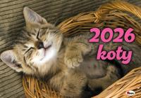 Kalendarz 2026 albumowy Koty KA2. Wydawca: AWM kalendarze. Dobreksiazki.pl Opakowanie Kalendarz 2026 albumowy Koty KA2
