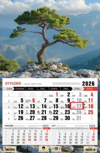 Kalendarz 2026 jednodzielny bonsai. Wydawca: Pan Kalendarzyk. Dobreksiazki.pl Opakowanie Kalendarz 2026 jednodzielny bonsai