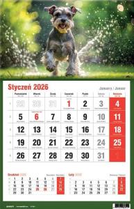 Kalendarz 2026 jednodzielny MIX. Wydawca: AVANTI. Dobreksiazki.pl Opakowanie Kalendarz 2026 jednodzielny MIX