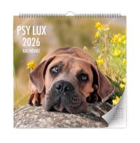 Kalendarz 2026 ścienny lux psy. Wydawca: Kalpol. Dobreksiazki.pl Opakowanie Kalendarz 2026 ścienny lux psy