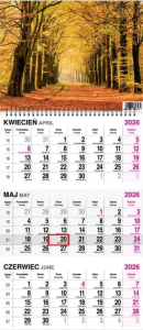 Kalendarz 2026 trójdzielny na spirali Las. Wydawca: O-press. Dobreksiazki.pl Opakowanie Kalendarz 2026 trójdzielny na spirali Las