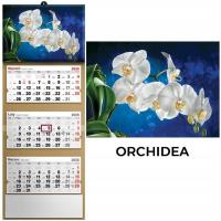Kalendarz 2026 trójdzielny orchidea. Wydawca: Evena. Dobreksiazki.pl Opakowanie Kalendarz 2026 trójdzielny orchidea