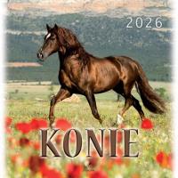 Kalendarz 2026 wieloplanszowy 33x33cm Konie. Wydawca: Artsezon. Dobreksiazki.pl Opakowanie Kalendarz 2026 wieloplanszowy 33x33cm Konie