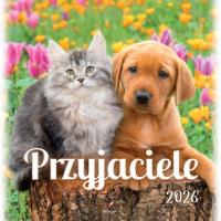 Kalendarz 2026 wieloplanszowy 33x33cm Przyjaciele. Wydawca: Artsezon. Dobreksiazki.pl Opakowanie Kalendarz 2026 wieloplanszowy 33x33cm Przyjaciele