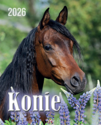 Kalendarz 2026 wieloplanszowy 34x44cm Konie. Wydawca: Artsezon. Dobreksiazki.pl Opakowanie Kalendarz 2026 wieloplanszowy 34x44cm Konie