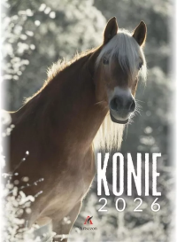 Kalendarz 2026 wieloplanszowy B4 Konie. Wydawca: Artsezon. Dobreksiazki.pl Opakowanie Kalendarz 2026 wieloplanszowy B4 Konie