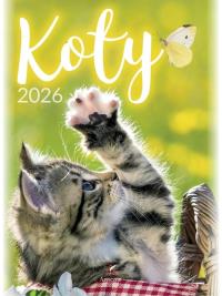 Kalendarz 2026 wieloplanszowy B4 Koty. Wydawca: Artsezon. Dobreksiazki.pl Opakowanie Kalendarz 2026 wieloplanszowy B4 Koty