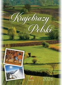 Kalendarz 2026 wieloplanszowy B4 Krajobrazy Polski. Wydawca: Artsezon. Dobreksiazki.pl Opakowanie Kalendarz 2026 wieloplanszowy B4 Krajobrazy Polski