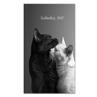 Okładka książki Kalendarz 2027 Koty B&W