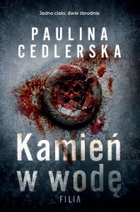 Okładka książki Kamień w wodę