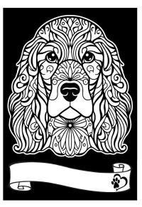Opakowanie Kolorowanka welwetowa A4 Cocker Spaniel