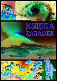 Księga zagadek. Autor: Opracowanie zbiorowe. Dobreksiazki.pl Okładka książki Księga zagadek