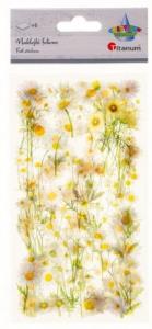 Naklejki foliowe stokrotki 6 plansz. Wydawca: Titanum. Dobreksiazki.pl Opakowanie Naklejki foliowe stokrotki 6 plansz