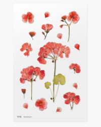 Naklejki ozdobne kwiaty Geranium. Wydawca: Appree. Dobreksiazki.pl Opakowanie Naklejki ozdobne kwiaty Geranium