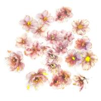 Naklejki połyskujące pet kwiaty pink blush 20 szt.. Wydawca: DP CRAFT. Dobreksiazki.pl Opakowanie Naklejki połyskujące pet kwiaty pink blush 20 szt.
